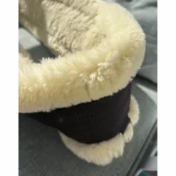 Kentucky Sangles><noscript><img width=