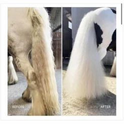 savon pour chevaux gris*- Marque inconnue - Clearance