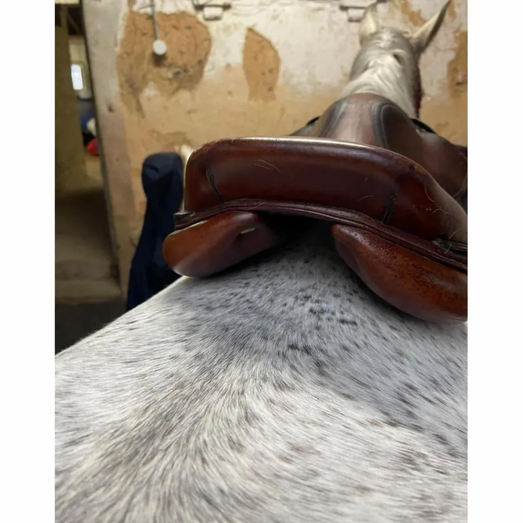 Selle*Vincent Gaffet Best