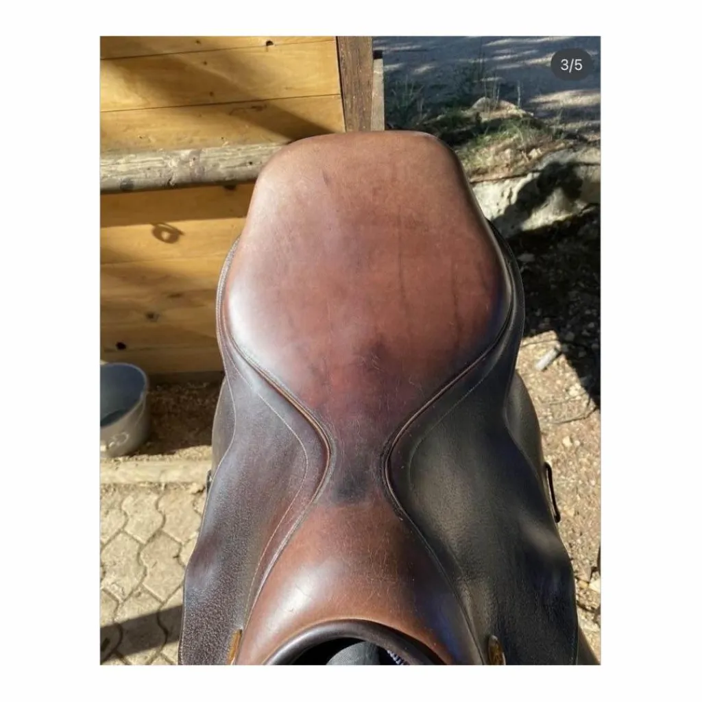 Eric Thomas Selles Mixtes>selle 16,5
