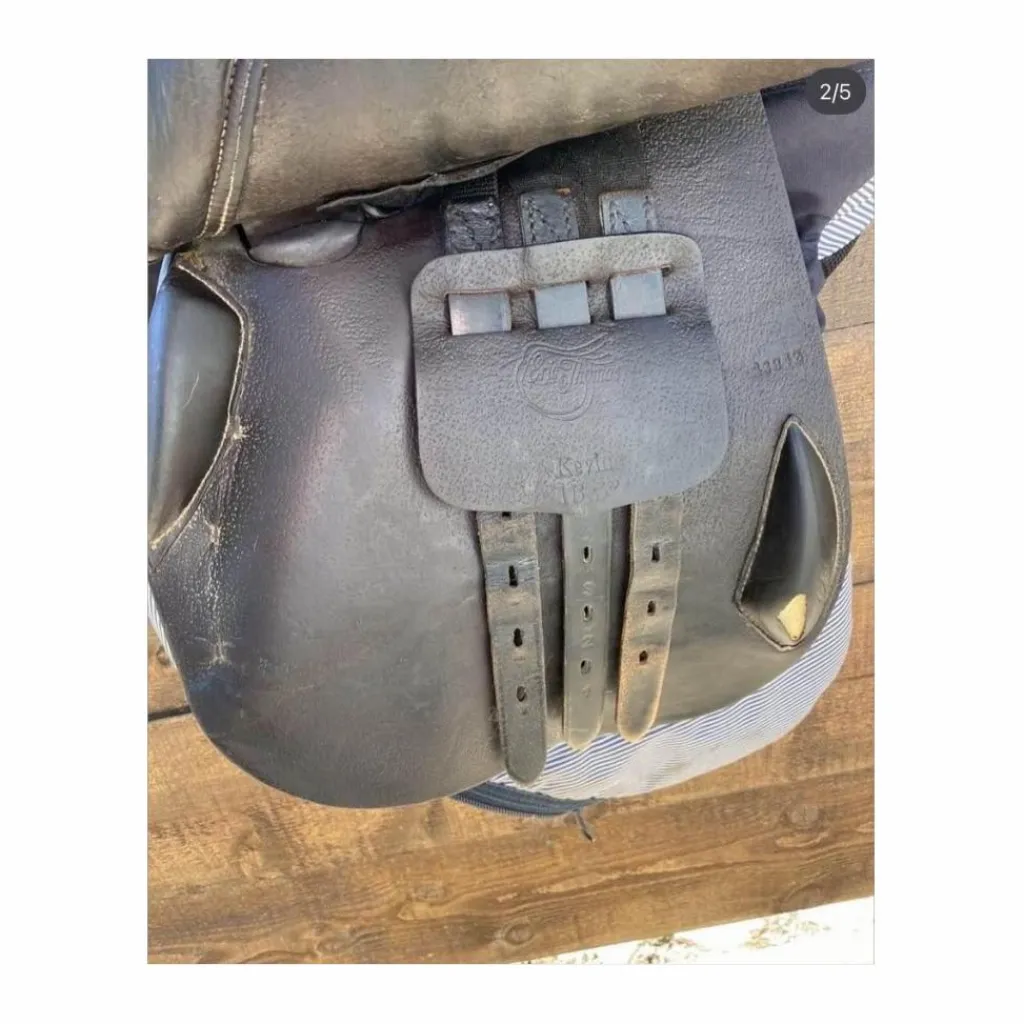 Eric Thomas Selles Mixtes>selle 16,5