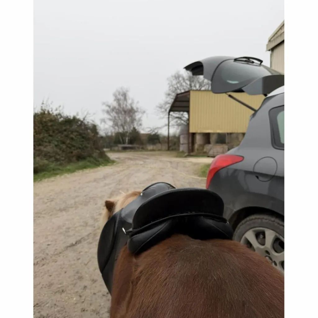 - Marque inconnue - Selles Mixtes>Selle 17.5’