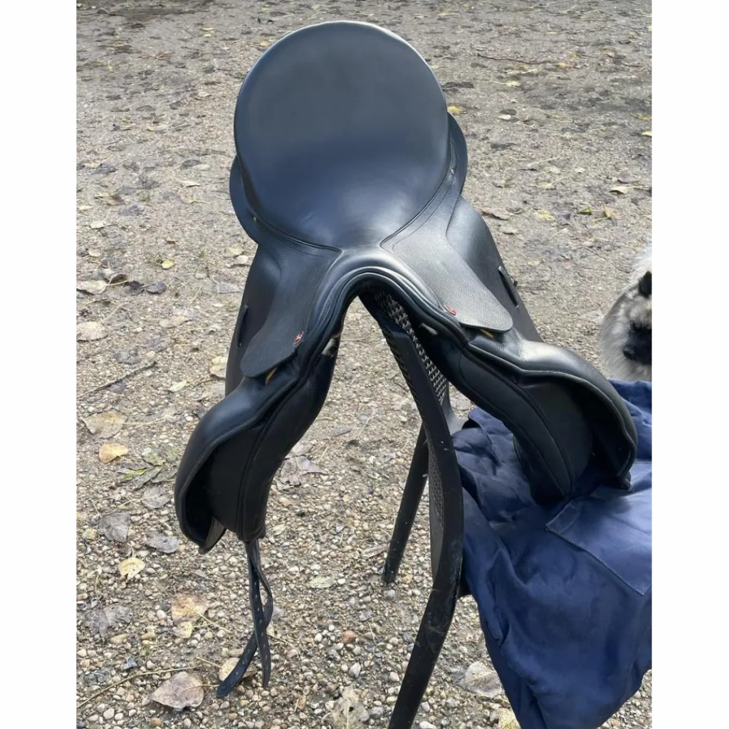 Albion Selles De Dressage>Selle
