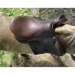 Antares Selles Mixtes><noscript><img width=