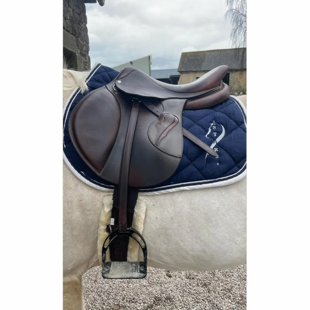 Selle*Antares Discount