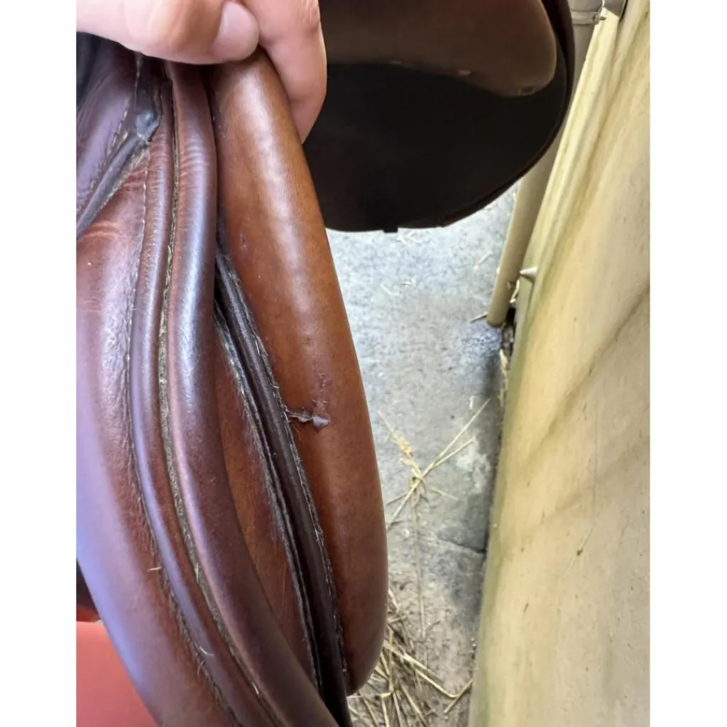 Selle*Antares Outlet