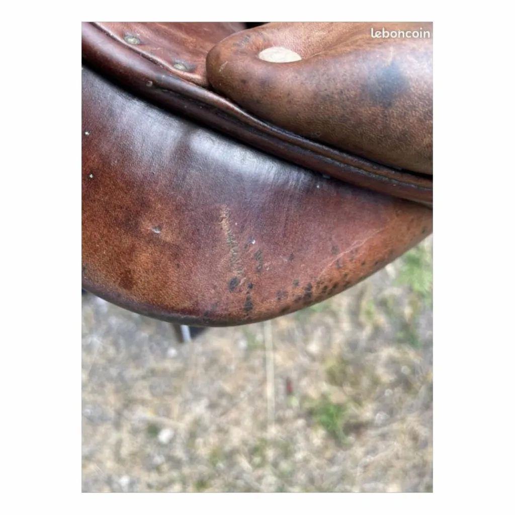 Selle 15"*Antares Clearance