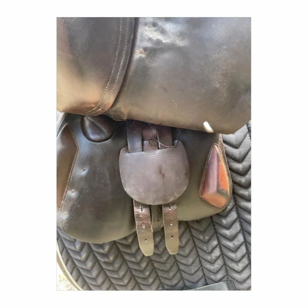 Selle 15"*Antares Clearance