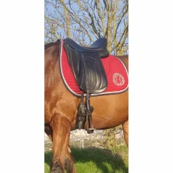 Antares Selles De Dressage>selle 17,5