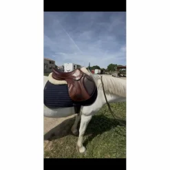 Antares Selles Mixtes><noscript><img width=