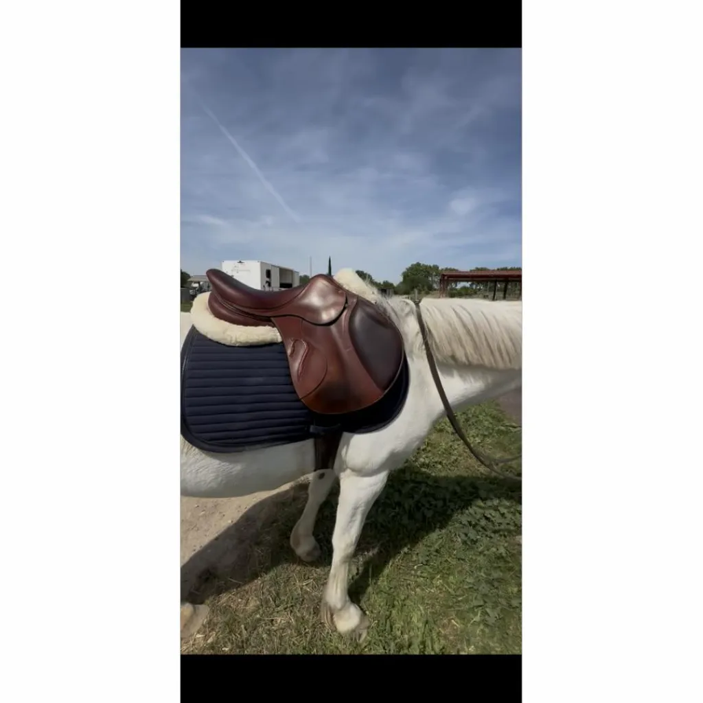 Antares Selles Mixtes>selle active
