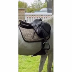 Antares Selles D'Obstacle>Selle connexion