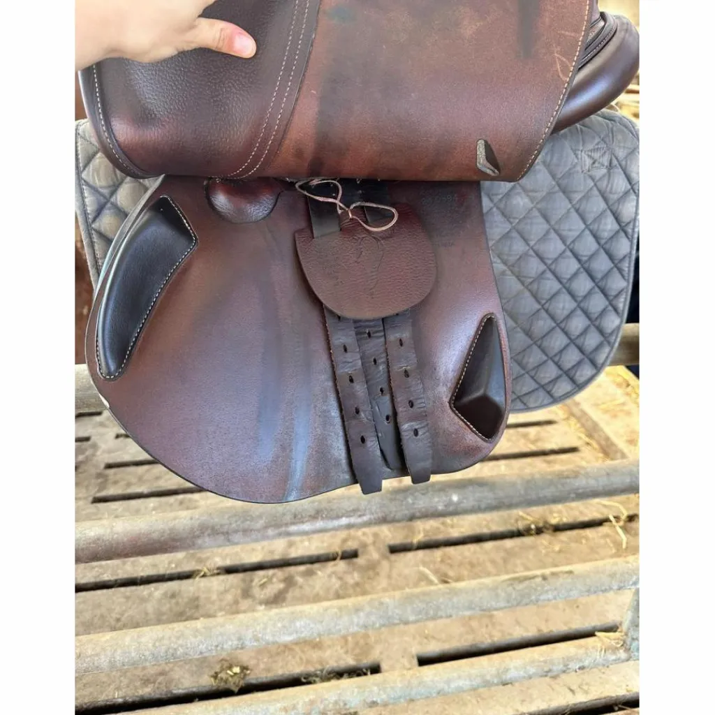 Antares Selles D'Obstacle>Selle Connexion