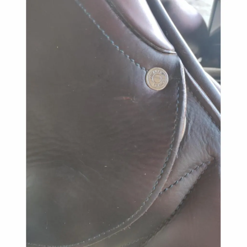 Selle monoquartier 17p*Antares Online