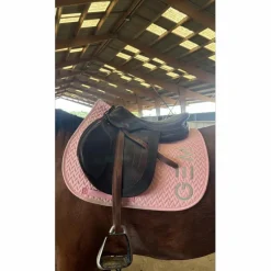 Arion Selles D'Obstacle><noscript><img width=
