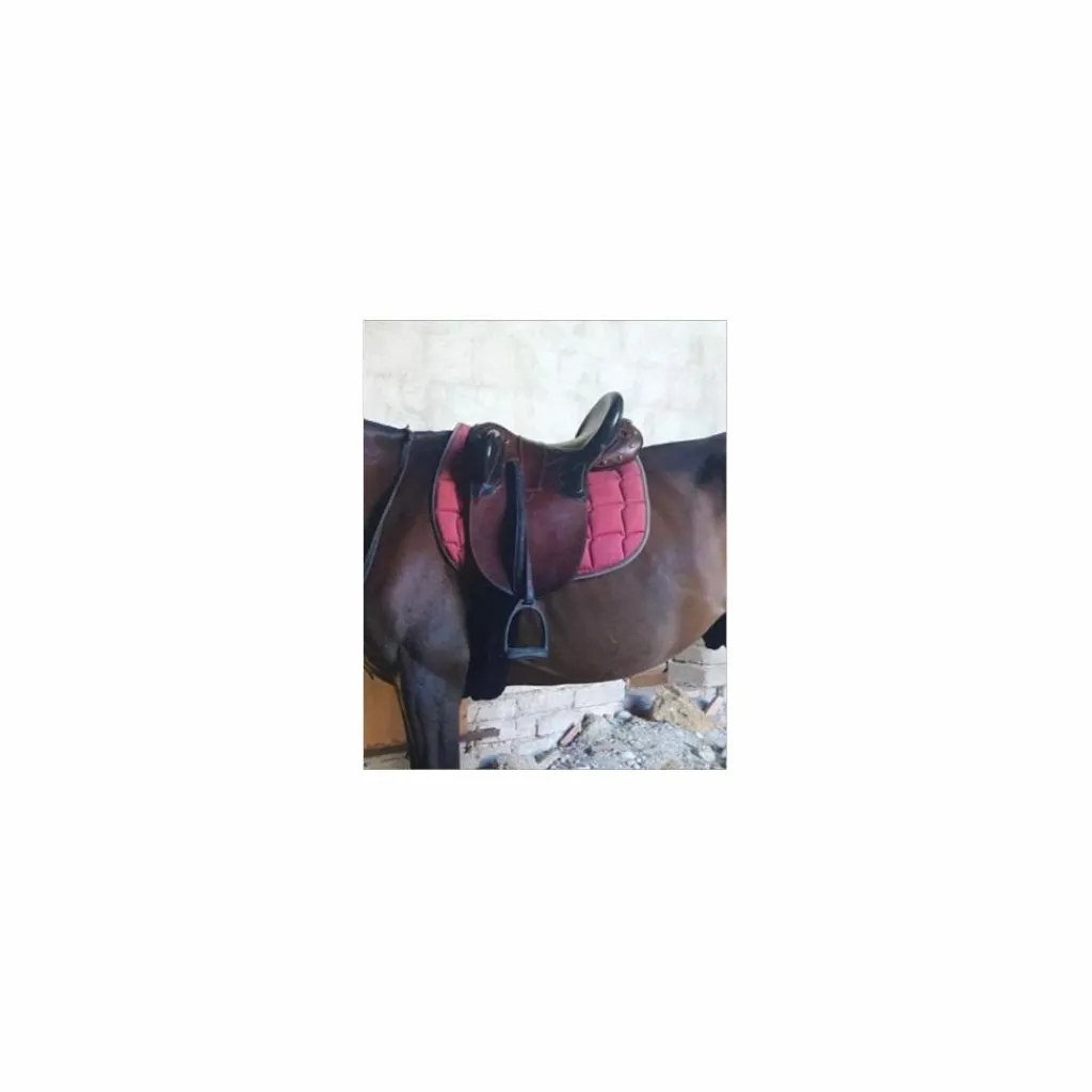 Selle Australienne*- Marque inconnue - Best