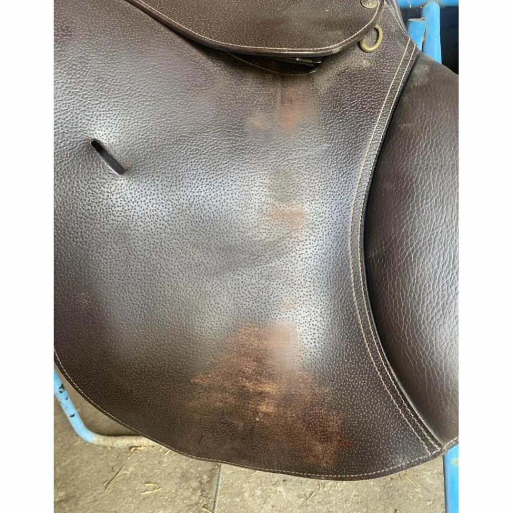 T de T Selles Mixtes>Selle Barry TdeT