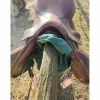 Forestier Selles De Cross>Selle boeckelo de 2003
