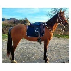 - Marque inconnue - Selles De Dressage>Selle Cavaletti dressage 17" cuir