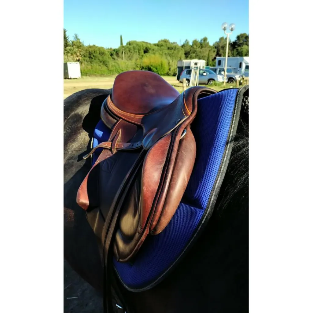 Selle toute équipée*Childeric Sale