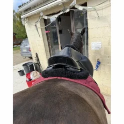 Childeric Selles De Dressage>Selle Childéric