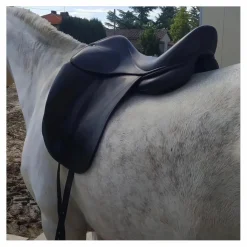 Childeric Selles De Dressage><noscript><img width=