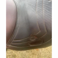 selle*CWD Best