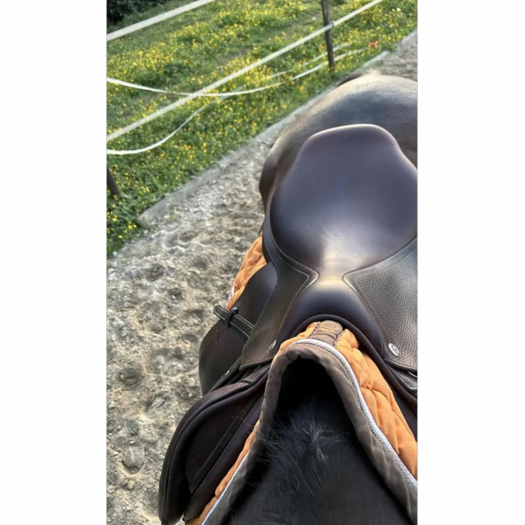 CWD Selles D'Obstacle>Selle