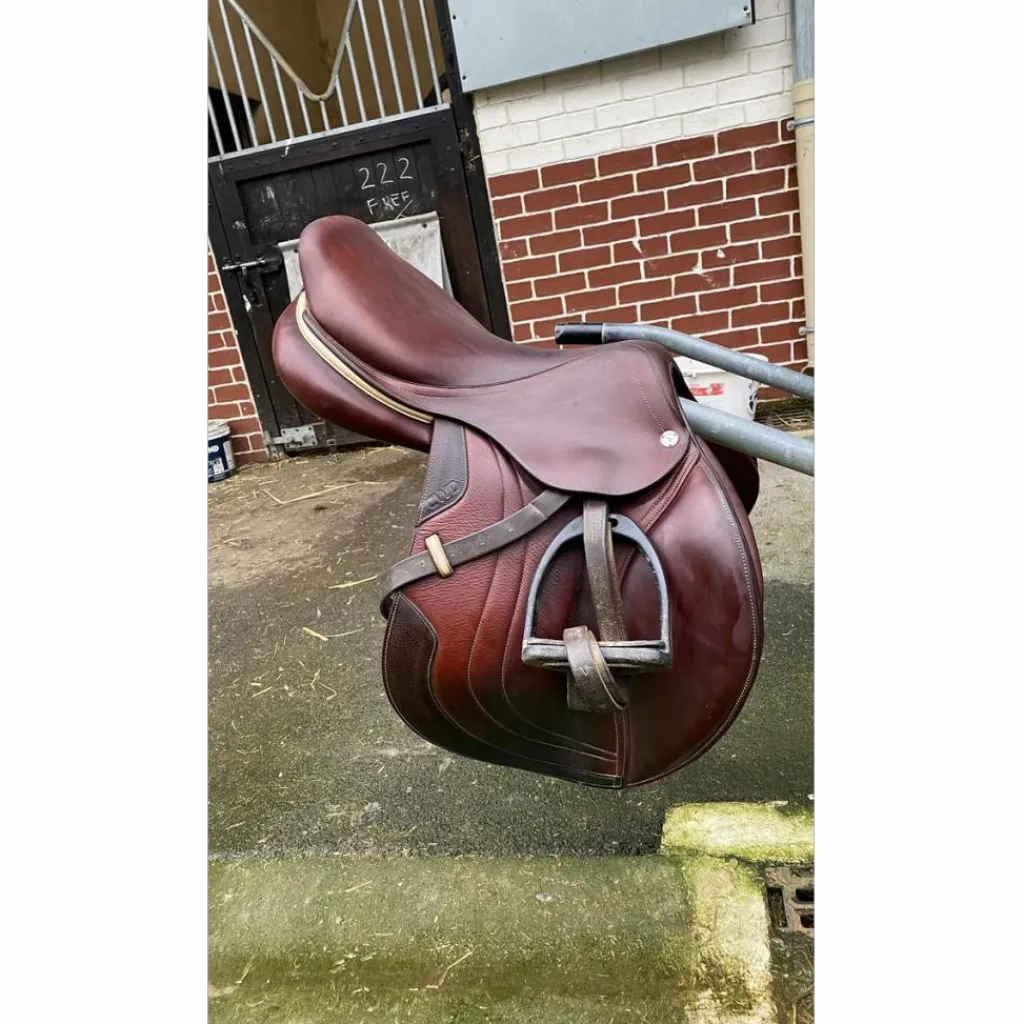 Selle*CWD Clearance