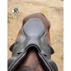 CWD Selles De Cross><noscript><img width=