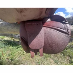 CWD Selles Mixtes><noscript><img width=