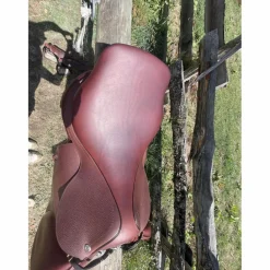 CWD Selles Mixtes><noscript><img width=