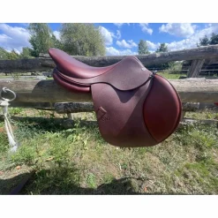 CWD Selles Mixtes><noscript><img width=