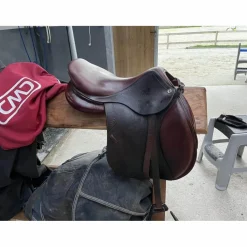 CWD Selles Mixtes><noscript><img width=