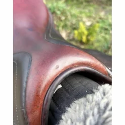 CWD Selles D'Obstacle><noscript><img width=