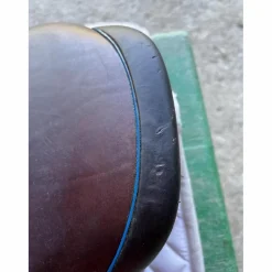Selle 2gs*CWD Best