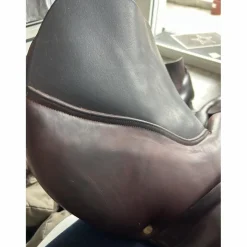 CWD Selles Mixtes><noscript><img width=