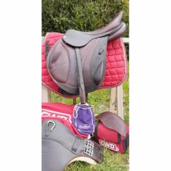 CWD Selles Mixtes><noscript><img width=