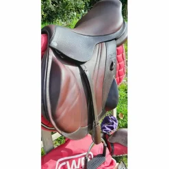 CWD Selles Mixtes><noscript><img width=