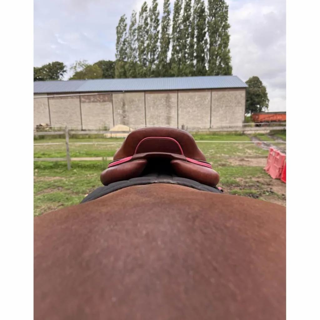 CWD Selles Mixtes>SELLE SE02 2021
