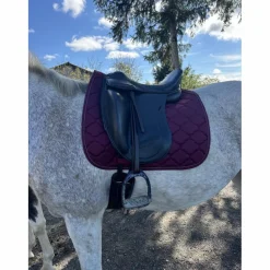 - Marque inconnue - Selles De Dressage><noscript><img width=