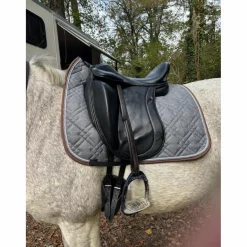 - Marque inconnue - Selles De Dressage><noscript><img width=