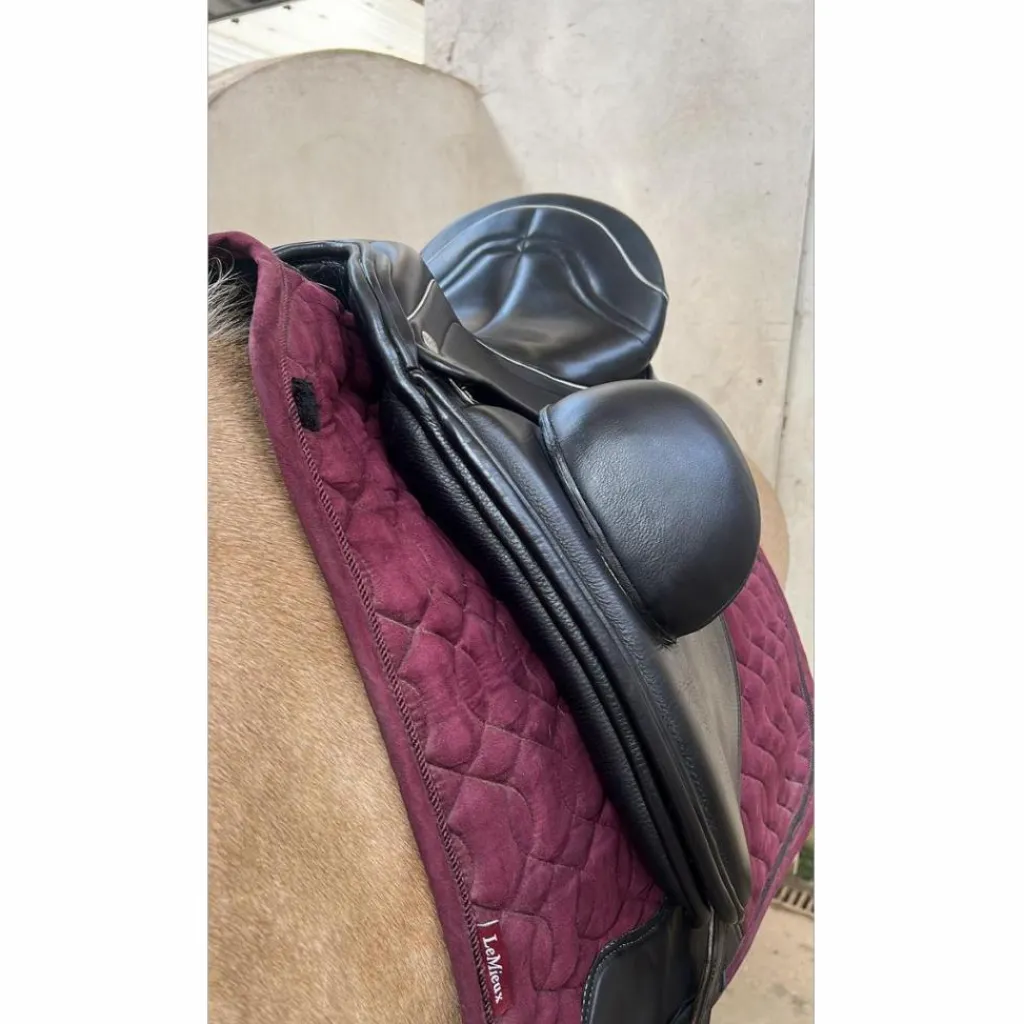 Zaldi Selles De Dressage>Selle de dressage