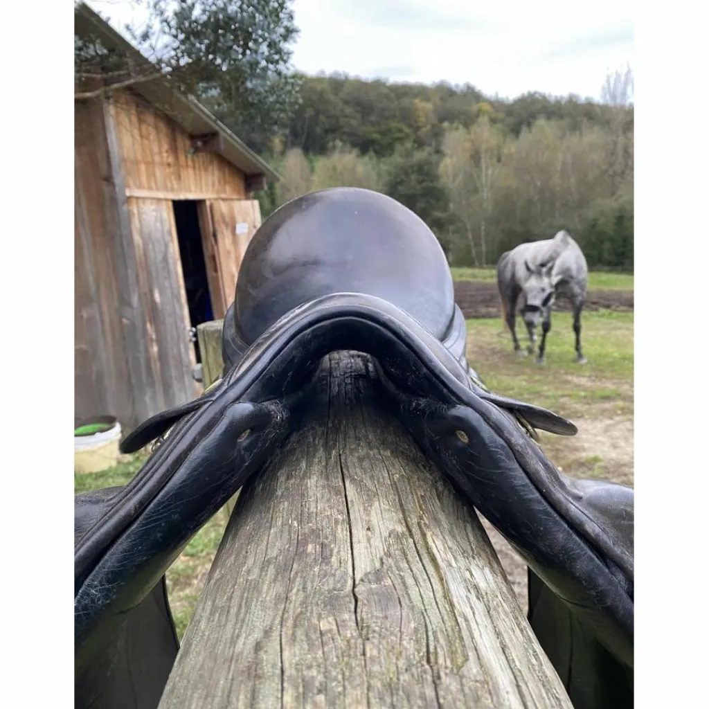 Henri de Rivel Selles De Dressage>Selle de dressage