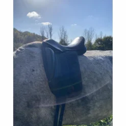 Henri de Rivel Selles De Dressage>Selle de dressage