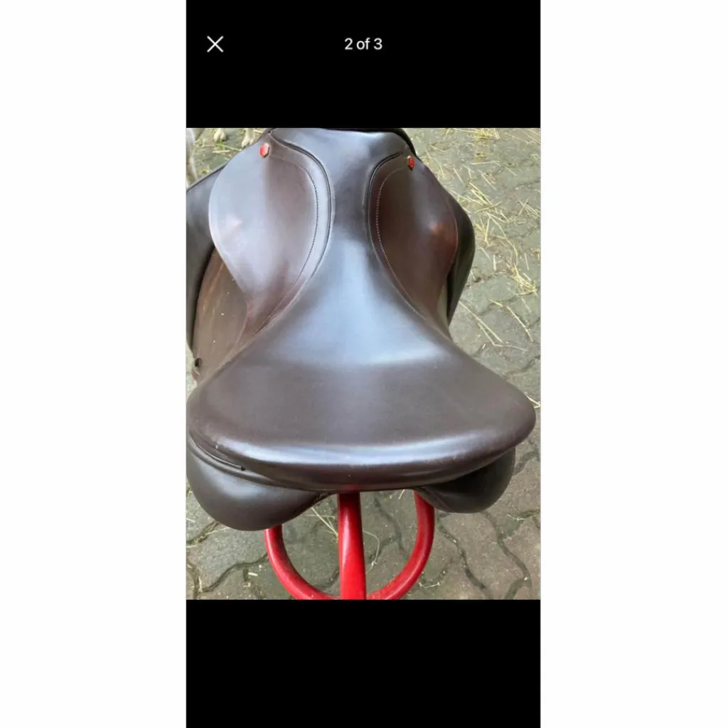 Albion Selles De Dressage>Selle de dressage