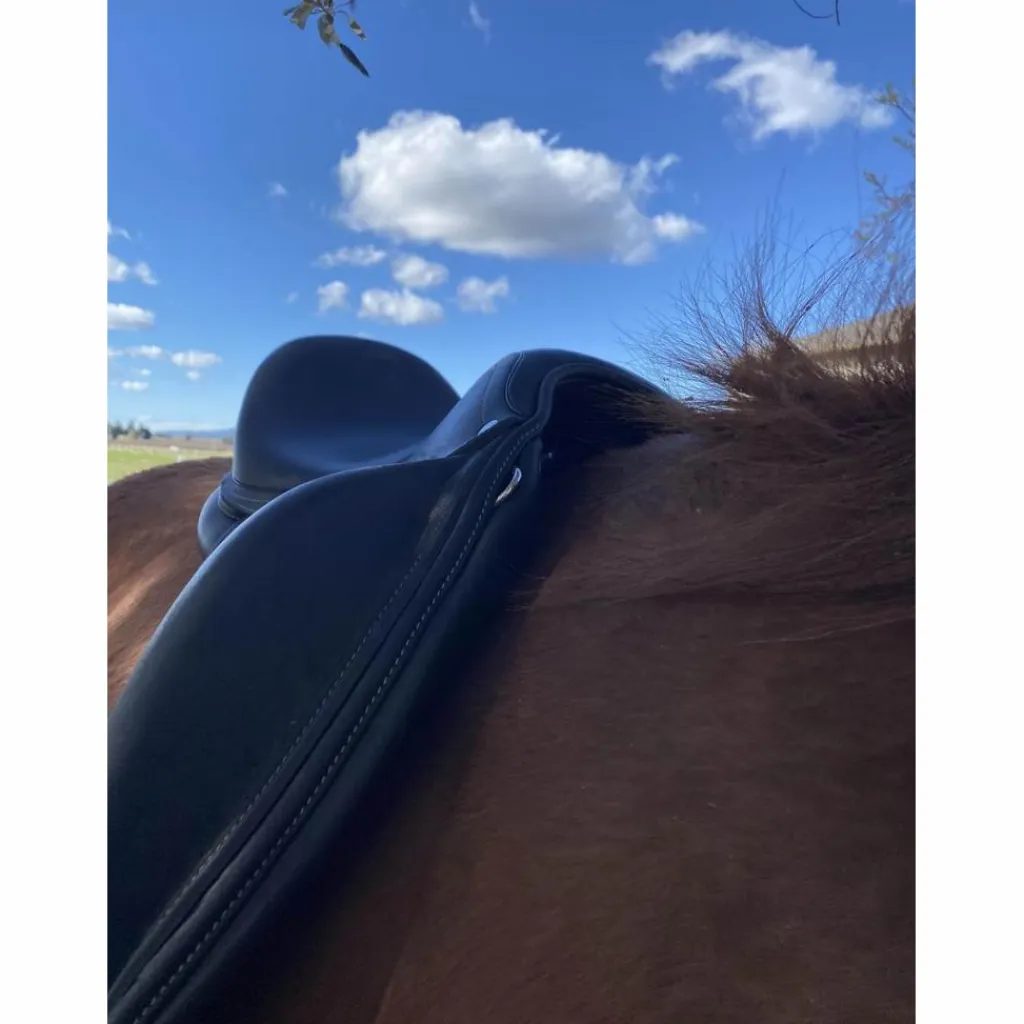 Antares Selles De Dressage>selle de dressage Cadence