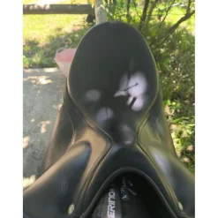Childeric Selles De Dressage><noscript><img width=