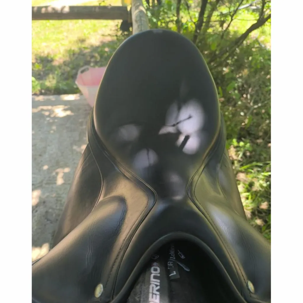 Childeric Selles De Dressage>Selle de dressage Childéric