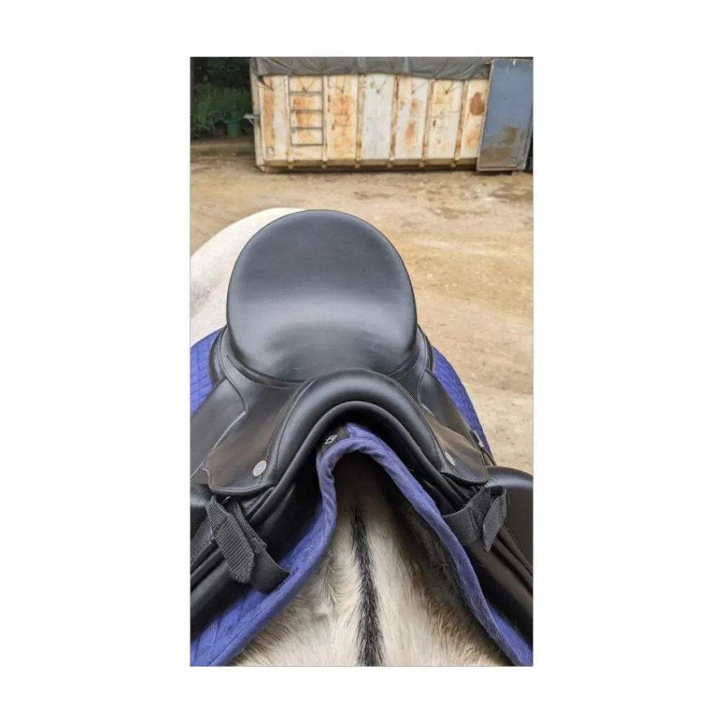Equipe Selles De Dressage>Selle de dressage Kalifornia 17.5 2023